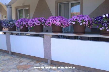 Apartmani Robi foto 4
