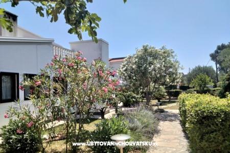 Apartmani Budija / Lavanda foto 2