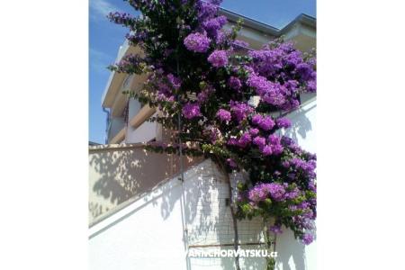 Apartmani Galunić foto 2