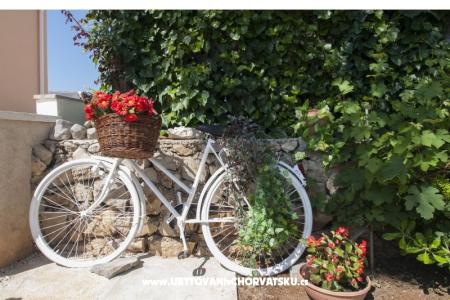 Apartmani Luka foto 4
