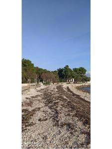 Apartmani Traum otok Vir Hrvatska