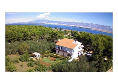 Apartmani Liveric otok Vir Hrvatska