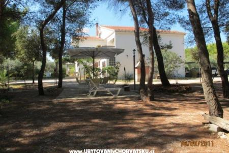 Apartmani Liveric foto 4