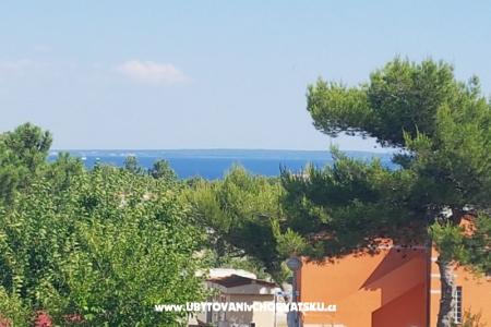 Villa Niva  foto 5