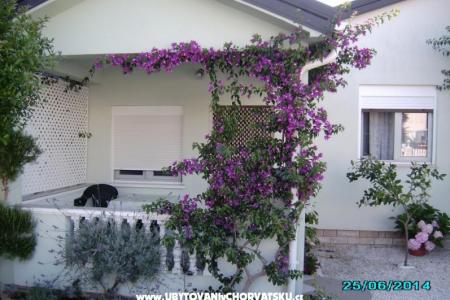 Apartman Zrna foto 3