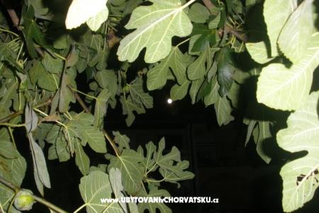Apartmani  Smokva   foto 4