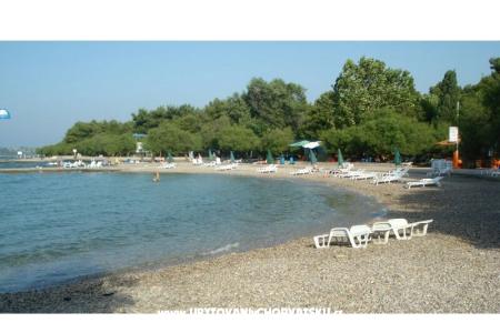 Apartmani Biluš foto 5