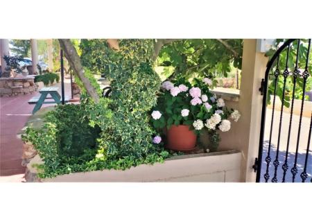 Apartmani Dea&amp;Paula foto 2