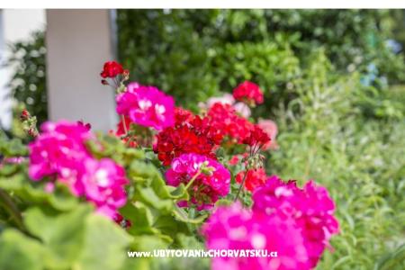 Apartmani Ines foto 3