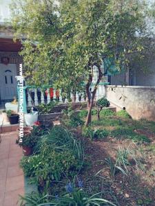 Apartmani Marijana Alaga foto 4