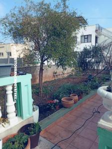Apartmani Marijana Alaga foto 5