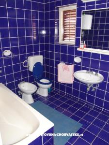 Apartmani Trlaja foto 4