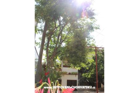 Apartmani Vitali foto 5