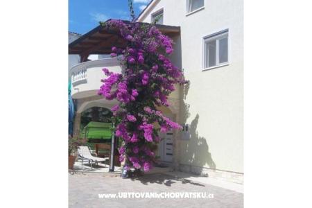 Apartmani  Vesna  foto 2