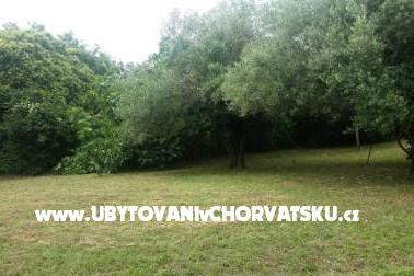 Apartmani Rakovac Vrsar foto 4
