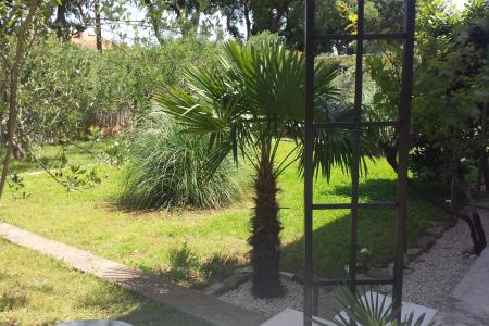 Apartman Korina foto 2