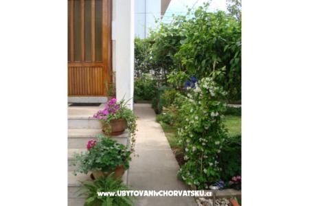 Apartmani Andredor foto 5
