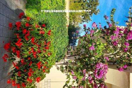 Apartmani Mira foto 5