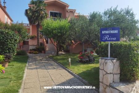 Apartmani Riva Zadar Hrvatska