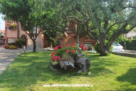 Apartmani Riva foto 3
