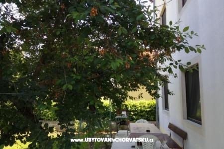 Apartman Tina foto 3