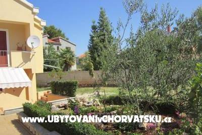 Apartmani Andjela, Borik foto 2