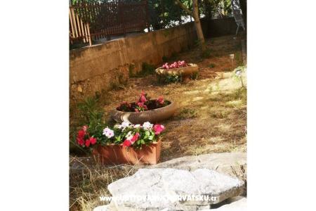 Apartmani Asea Zadar foto 3