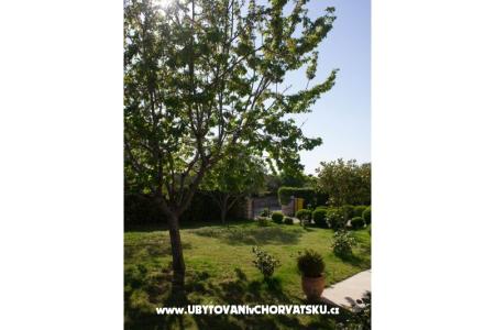 Apartmani Duke foto 3