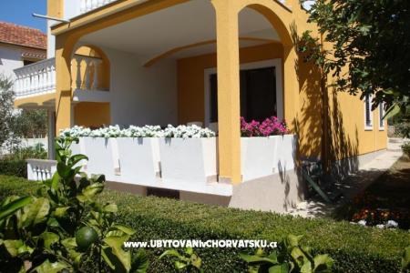 Apartmani Antonia foto 2