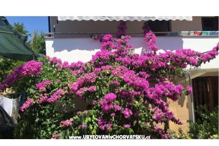 Lucija apartmani foto 2