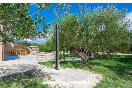 Vacation house Maslina foto 4