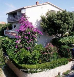 Villa IBIS Zadar Hrvatska