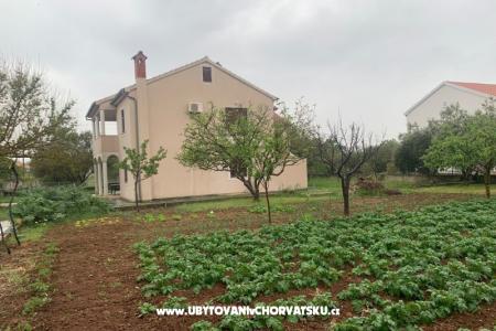 Apartmani BLUE foto 5