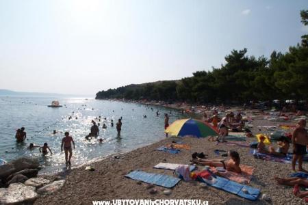 Apartmani Gabrić foto 4