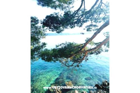 Apartmani Anita Jelaš Veža foto 3