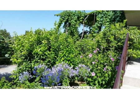 Apartmani Lily foto 5