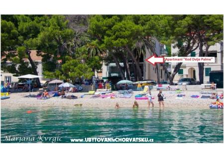 Apartmani u dvou palem Živogošće Hrvatska