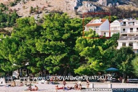 Apartmani Ajduk Živogošće Hrvatska