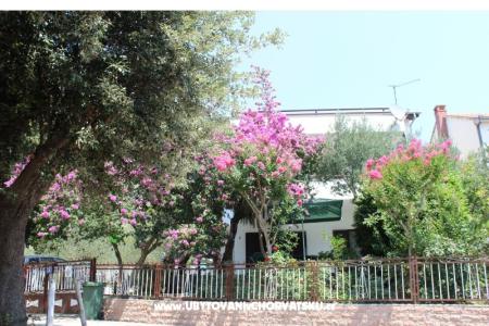Apartmani Vila Filipovic foto 2