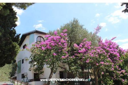 Apartmani Vila Filipovic foto 3