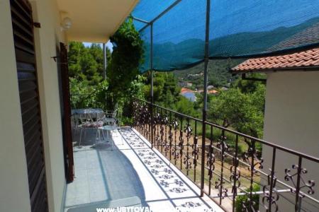 Apartmani Dalmatin foto 3