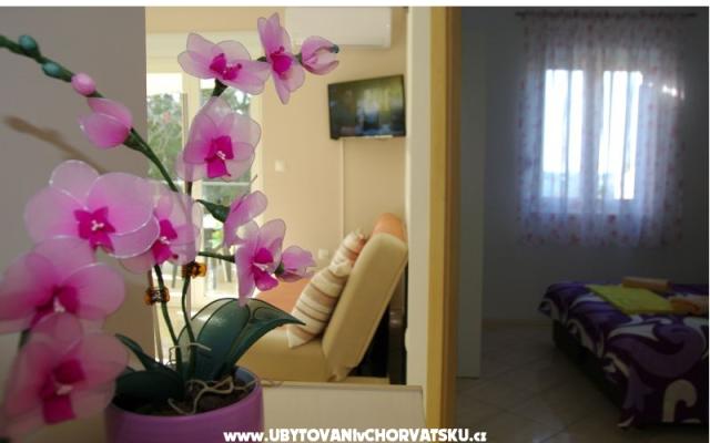 Apartmani Lovre - smještaj Bibinje Hrvatska