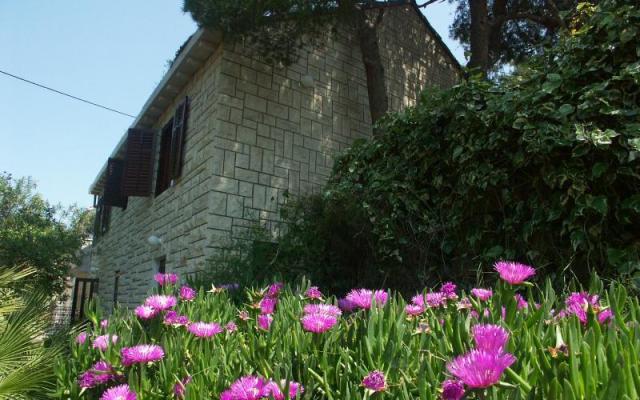 Villa Santa Lucia - smještaj otok Brač Hrvatska