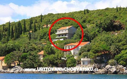 Apartmani Antunović - smještaj Dubrovnik Hrvatska