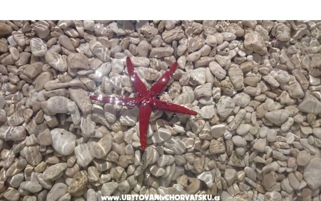 Vacation house Delić - smještaj Dugi Rat Hrvatska