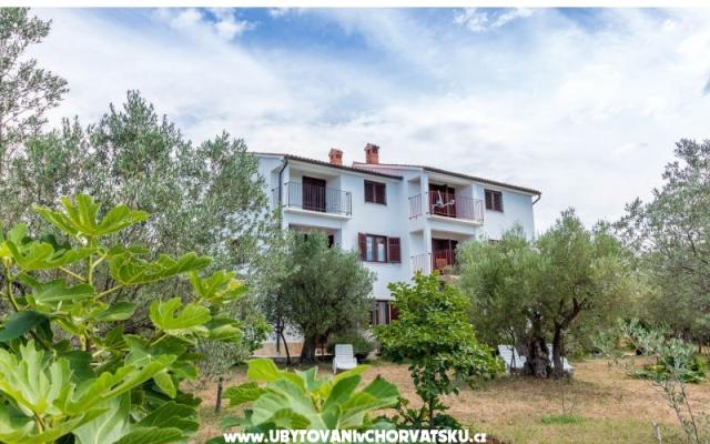 Apartmani Amalia Fažana - smještaj Fažana Hrvatska