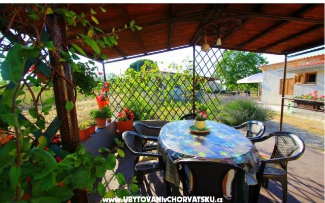 Apartman Sandra  - smještaj Fažana Hrvatska
