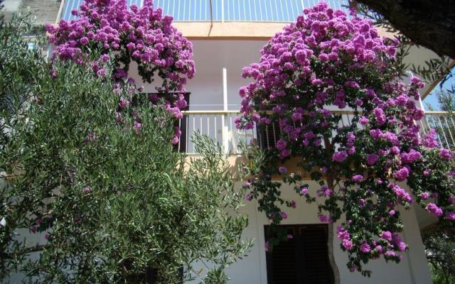 Apartman Gradac Falak - smještaj Gradac – Podaca Hrvatska