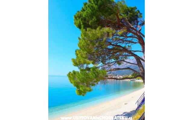 Apartmani Helena - smještaj Gradac – Podaca Hrvatska