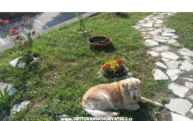 Mini Kamp Podaca - smještaj Gradac – Podaca Hrvatska